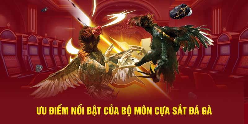 Ưu điểm nổi bật của bộ môn cựa sắt đá gà cựa sắtƯu điểm nổi bật của bộ môn cựa sắt đá gà cựa sắt